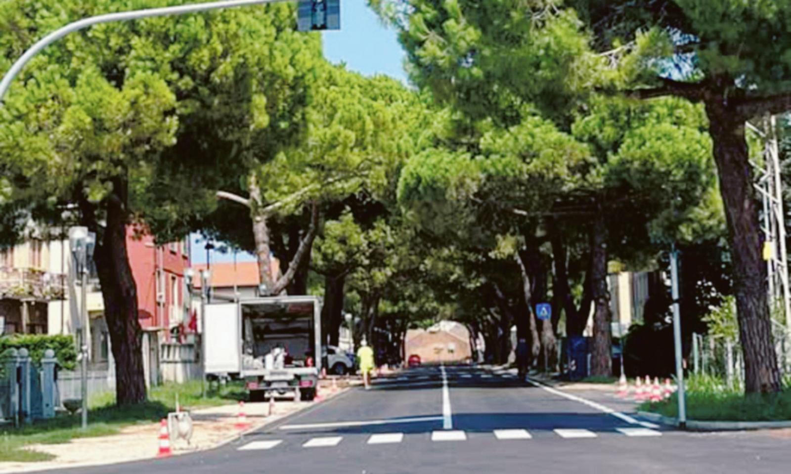 Albero abbattuto: &ldquo;Era pericoloso&rdquo;