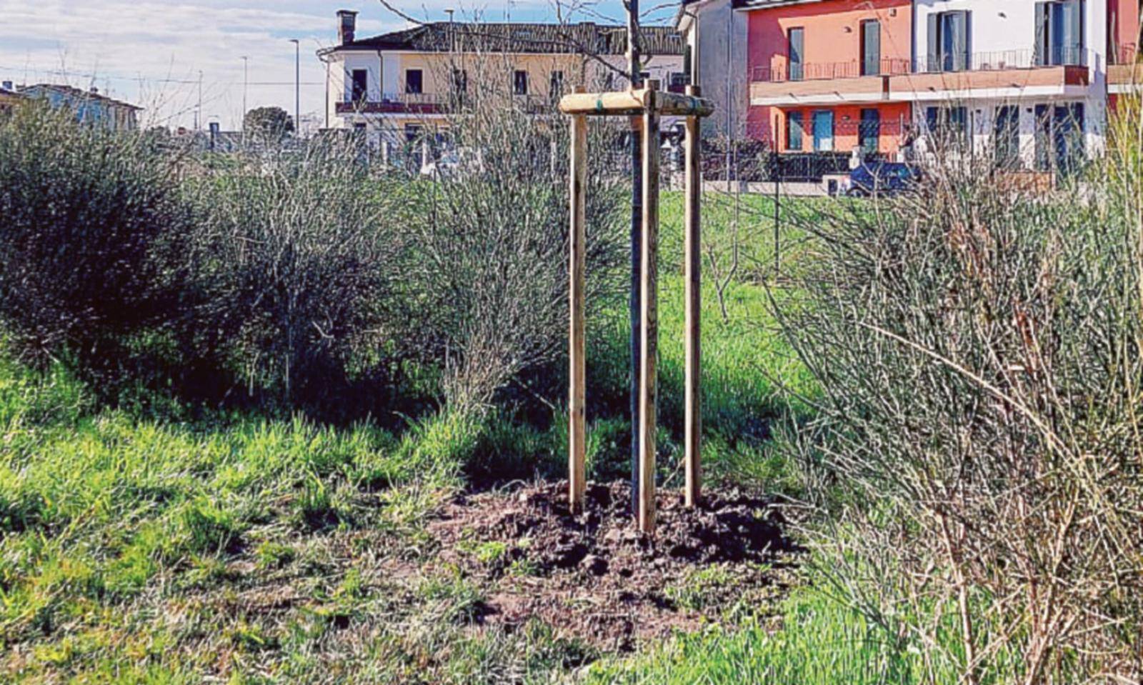 Al via la cura degli spazi urbani