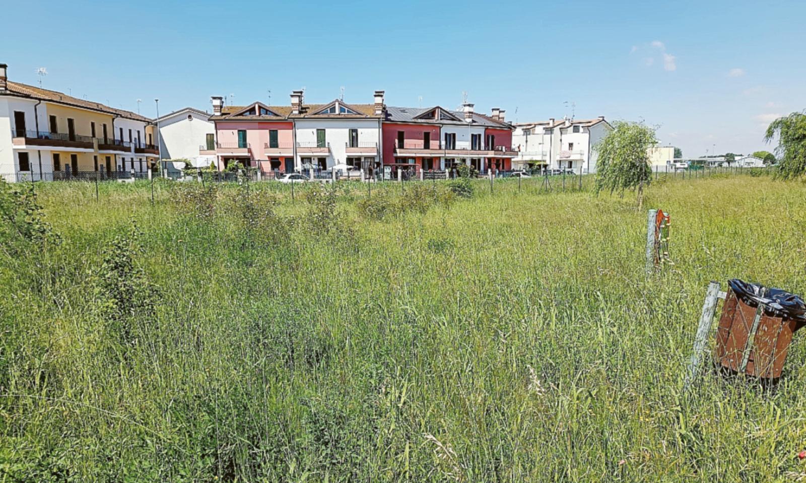 Allarme erba, insalubrit&agrave; e zanzare