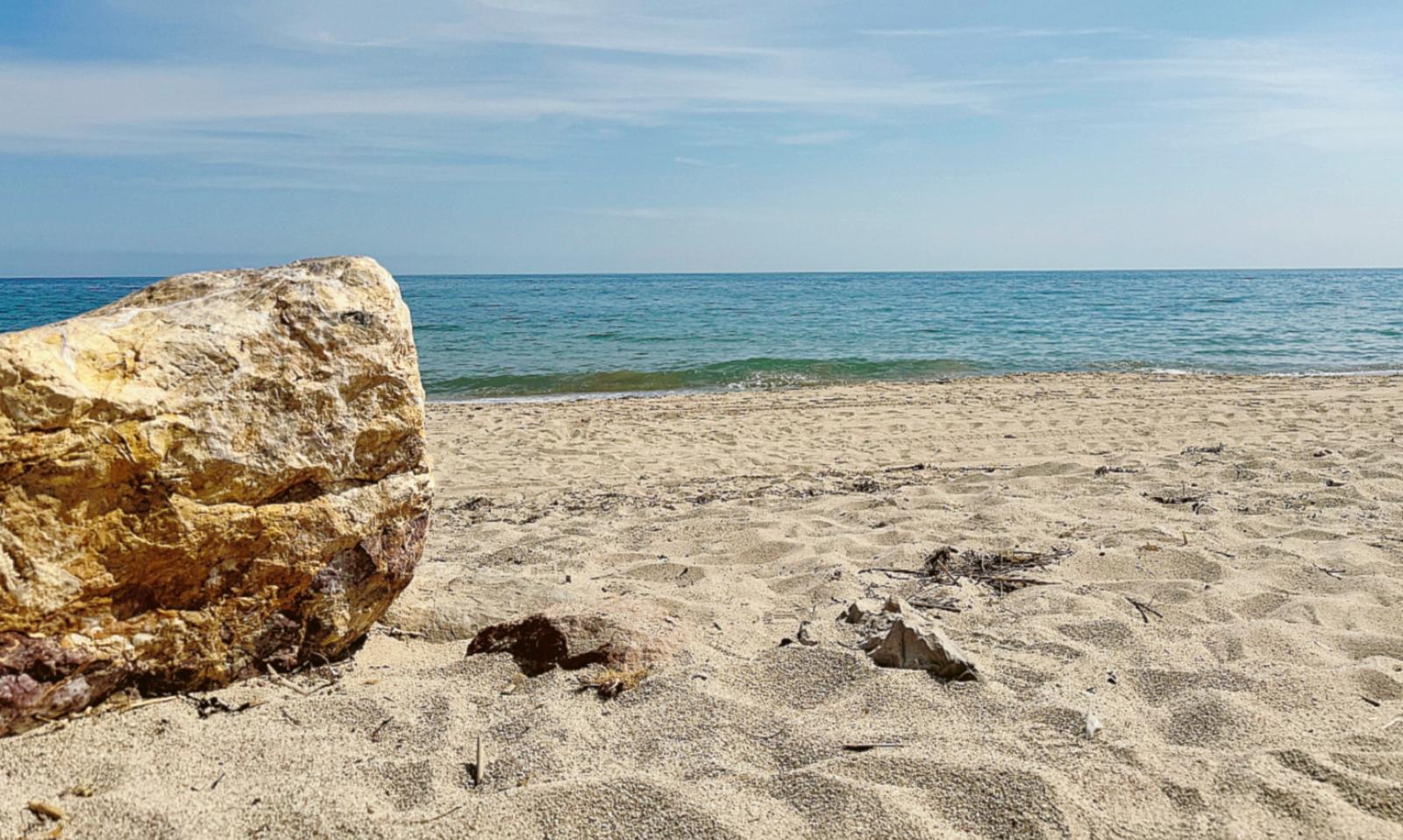 746 reati ambientali lungo il litorale veneto nel 2024