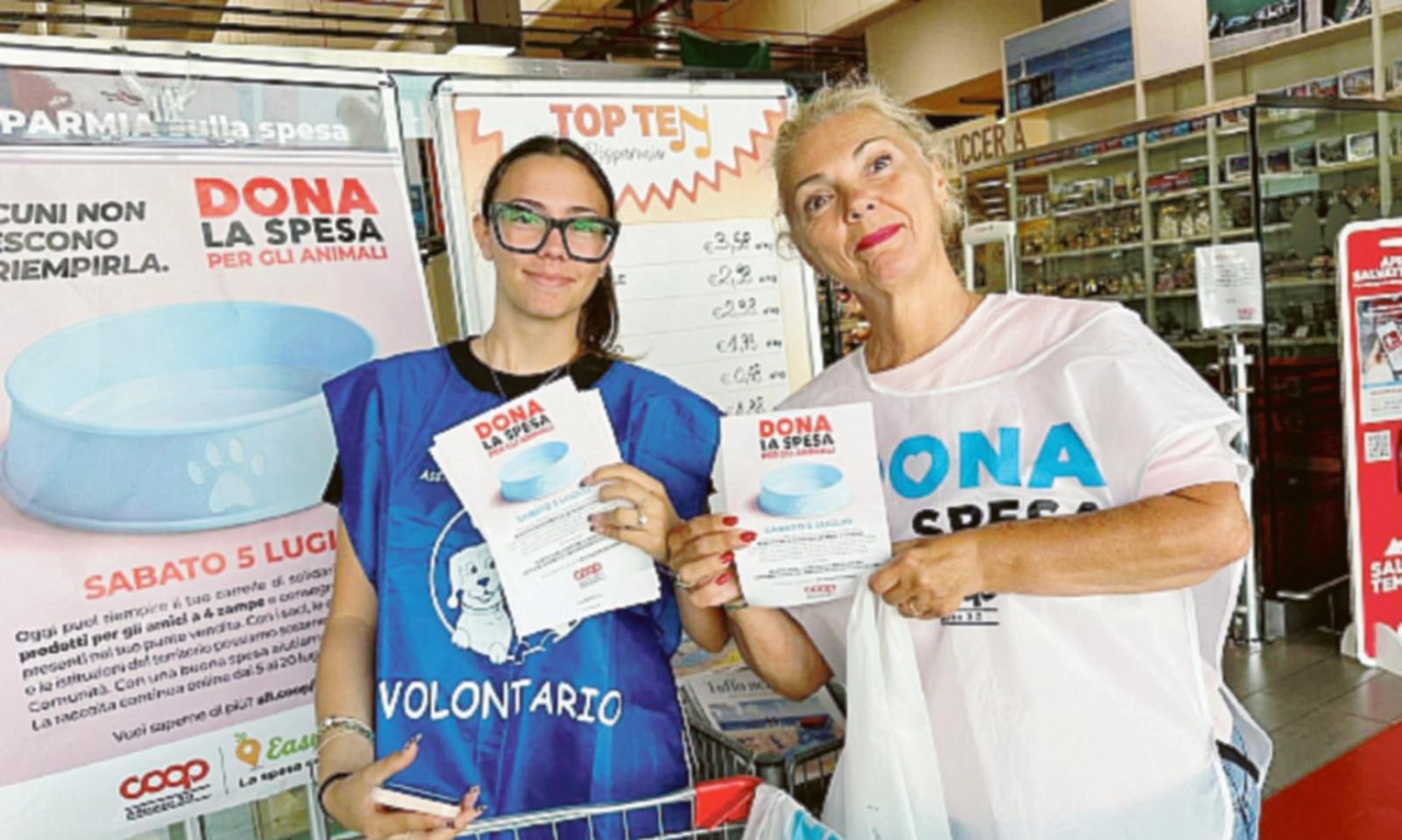 Tante crocchette per i cani che sono soli