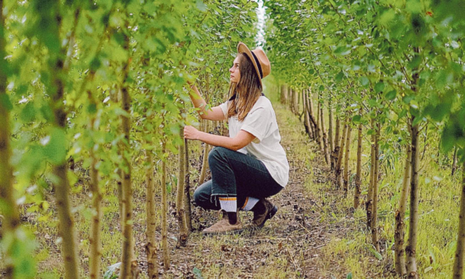 54 nuovi alberi per la citt&agrave;