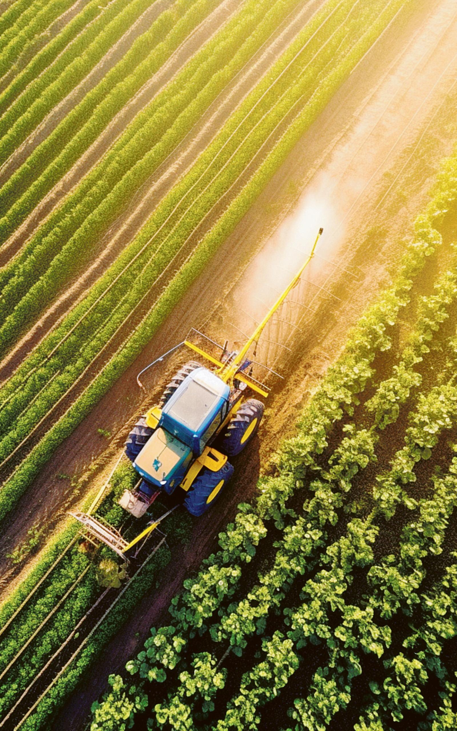 I campi sono smart e sostenibili