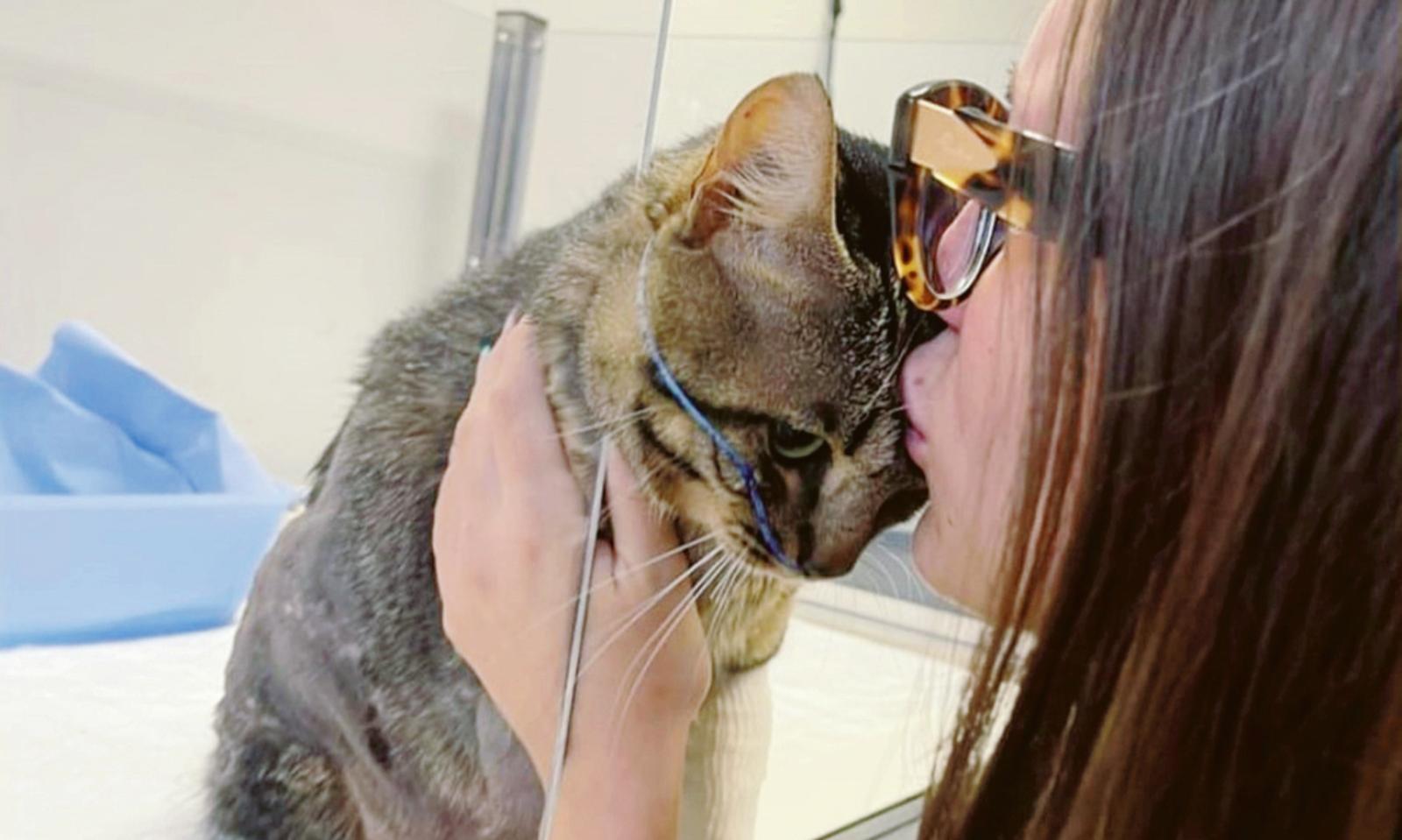 Gatto ucciso, &ldquo;pena troppo lieve&rdquo;