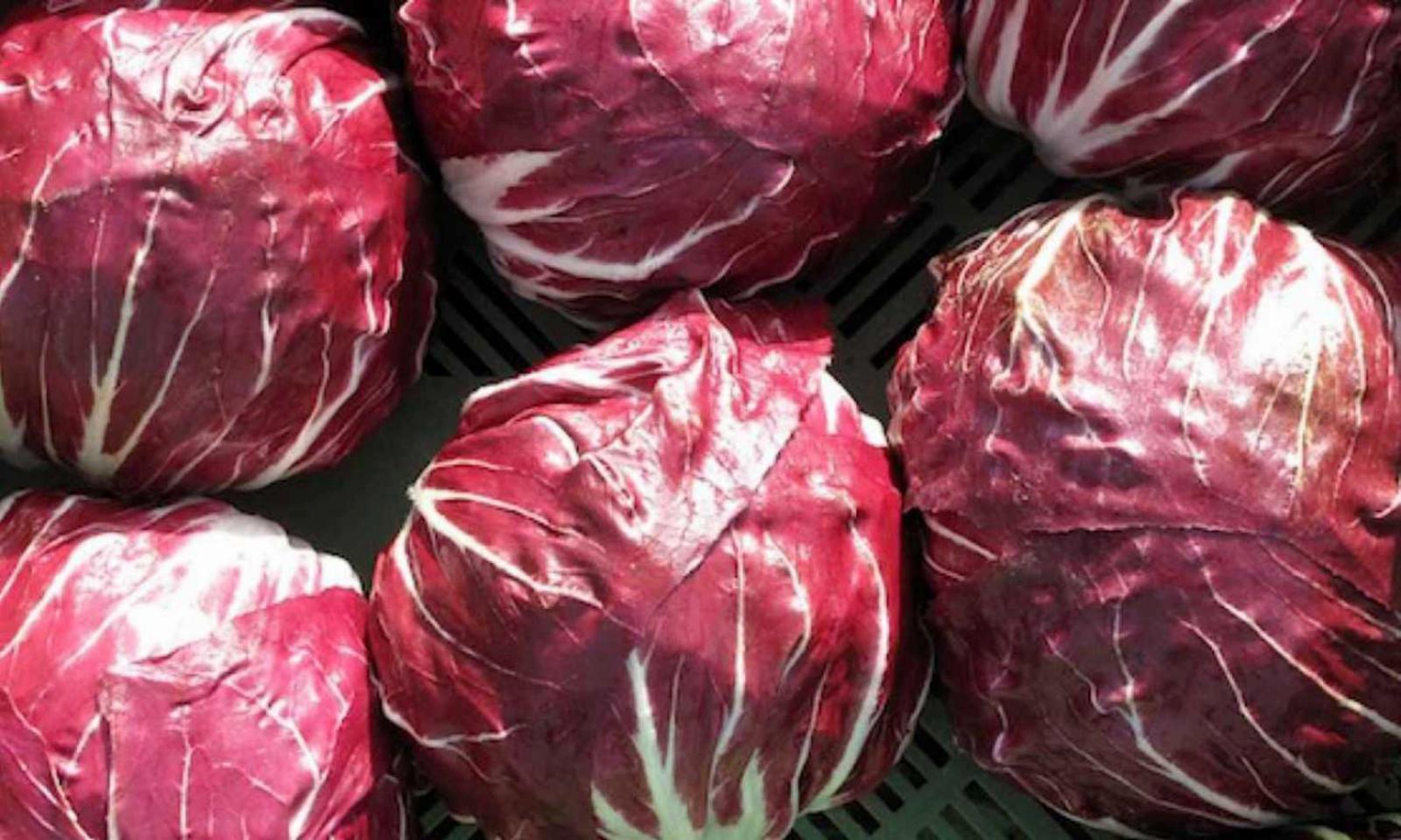 Il radicchio star della tv