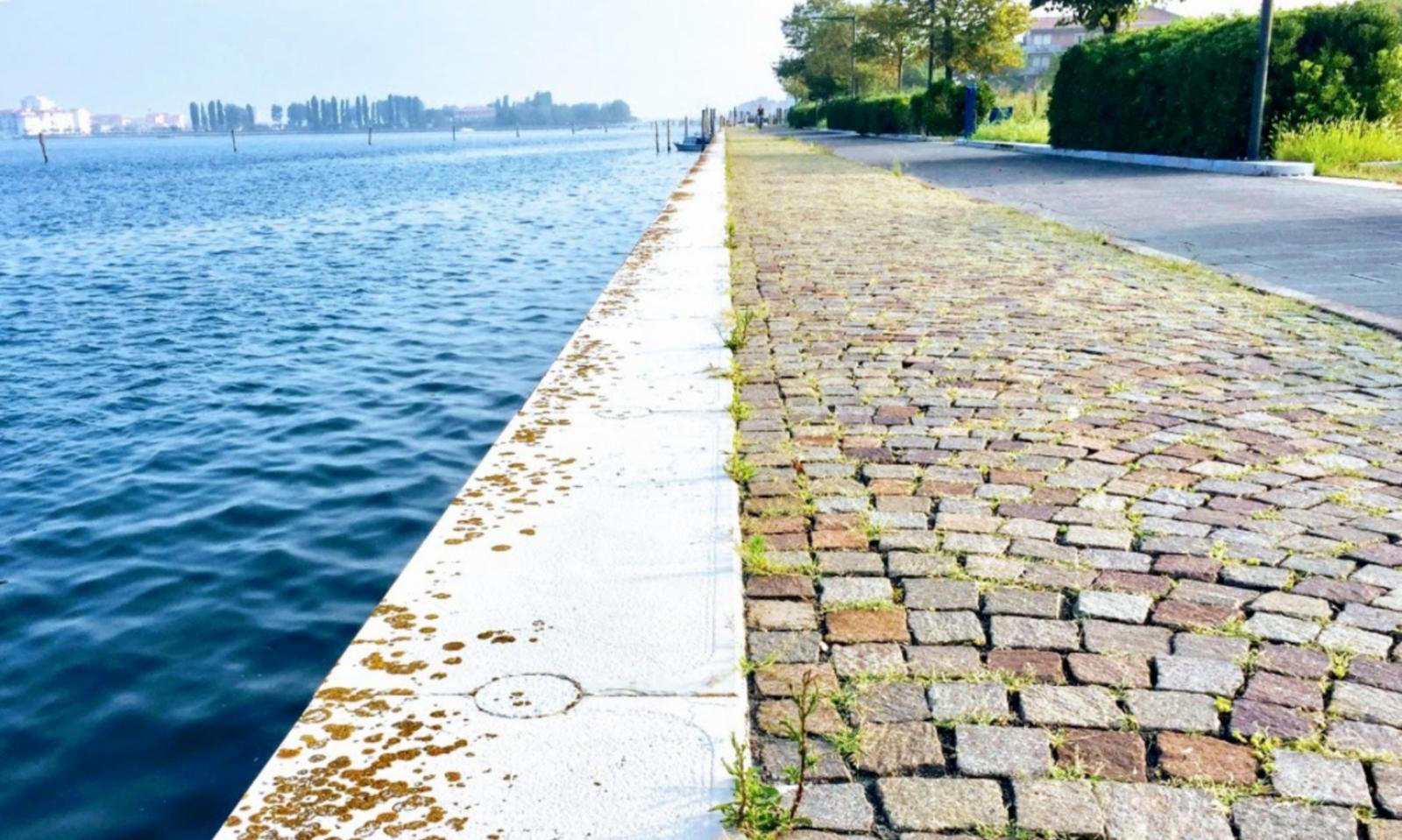 Luned&igrave; 20 riapre il cantiere sulla Riva Lusenzo Nord