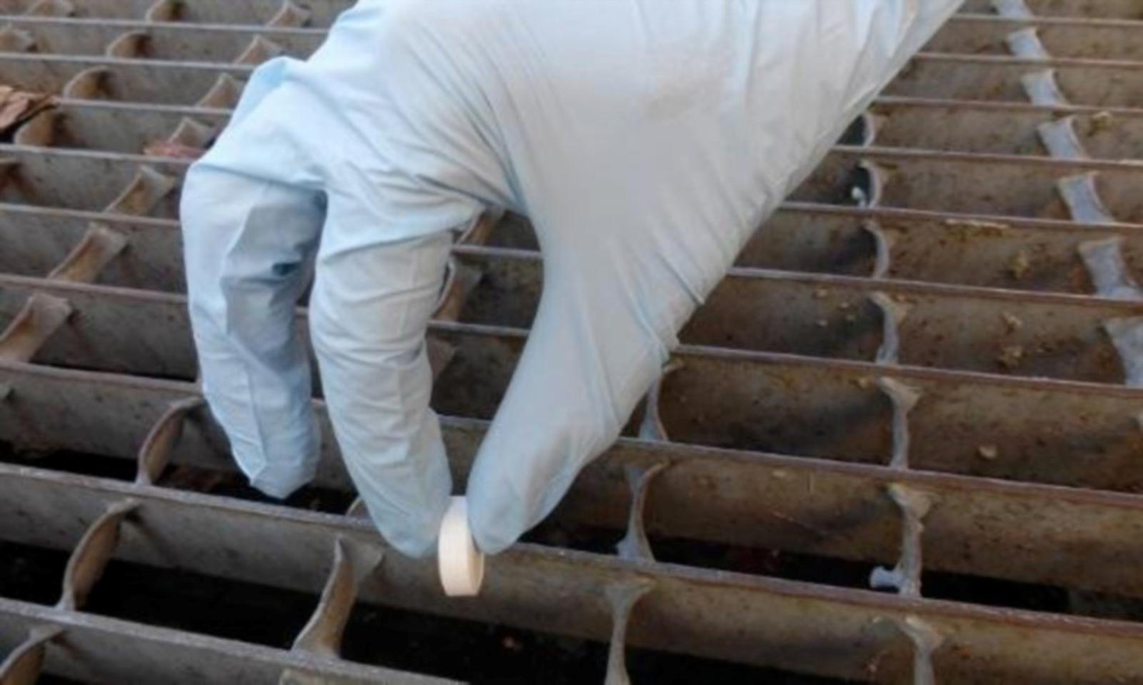 Zanzare, parte la campagna