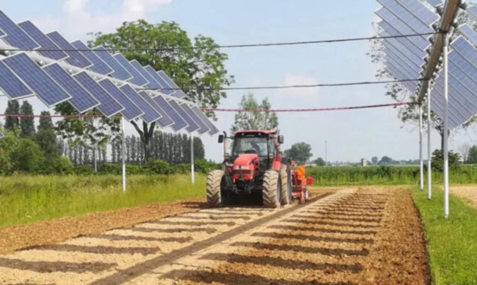 Agrivoltaico &ldquo;ok ma capiamo&rdquo;
