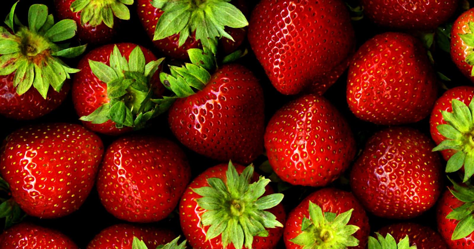 Fragola: il frutto dei record