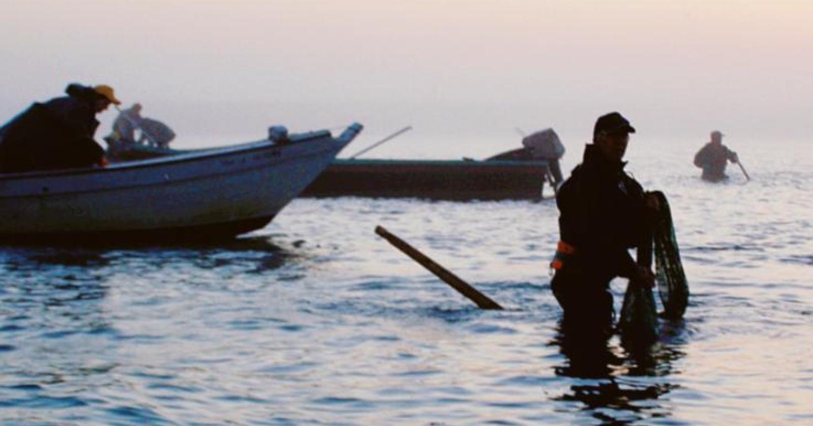 Diritti esclusivi di Pesca, salta tutto: la rabbia dei pescatori (e non solo)