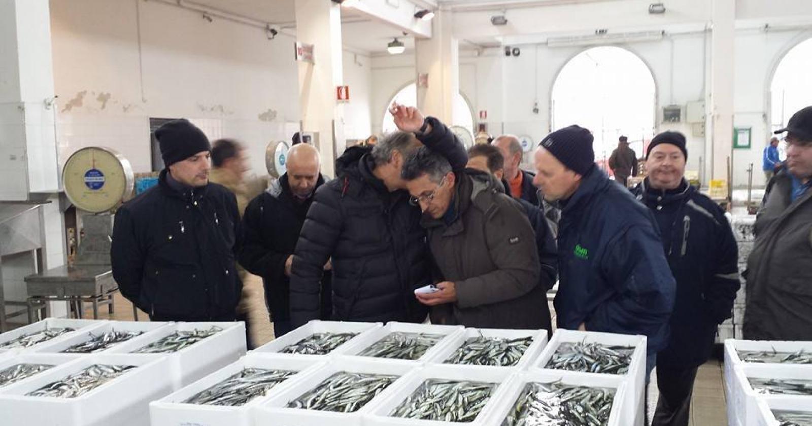 Il Mercato ittico di Chioggia è #sanocomeunpesce