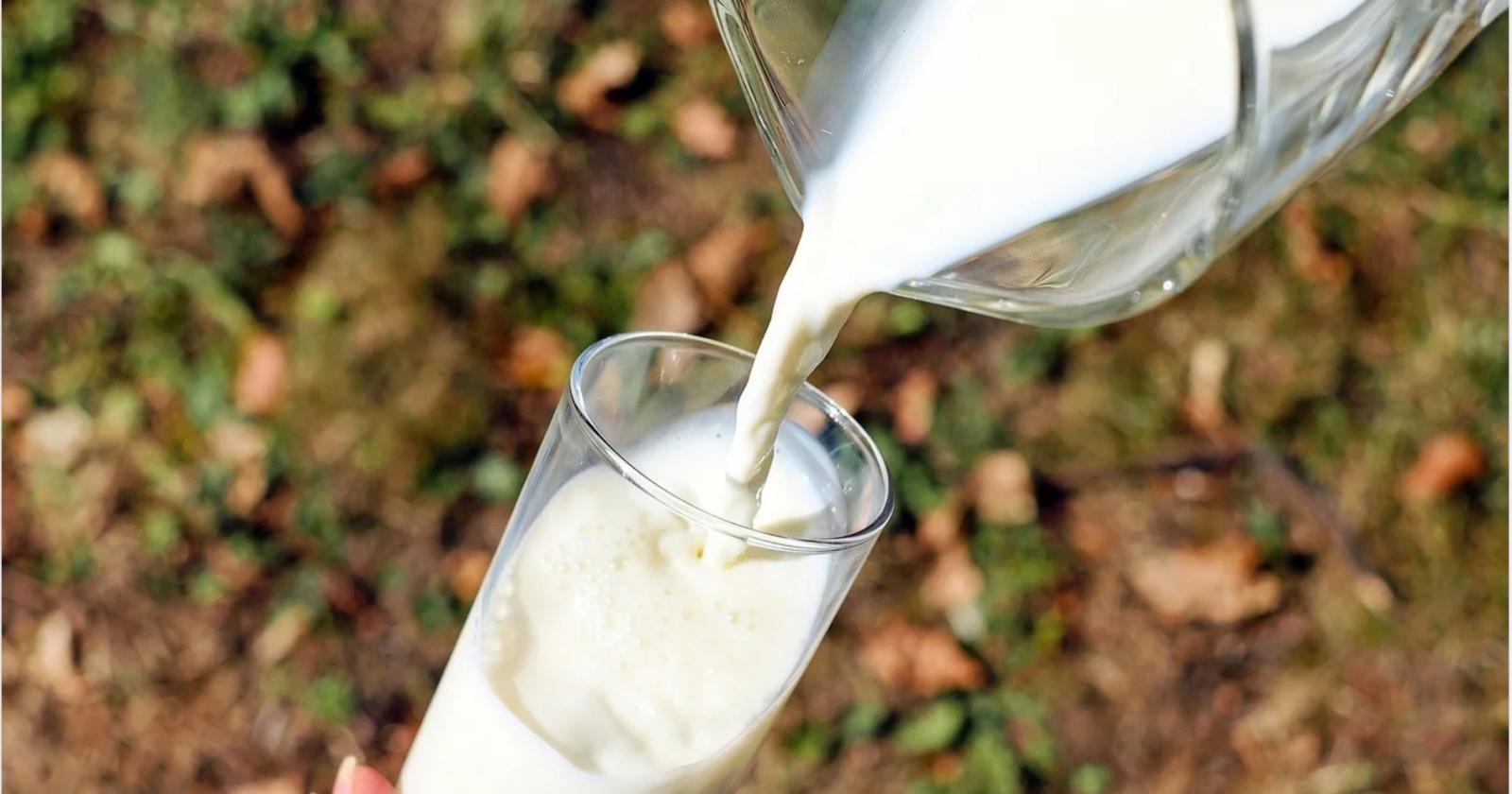 Il latte veneto alla stalla continua a crescere:
