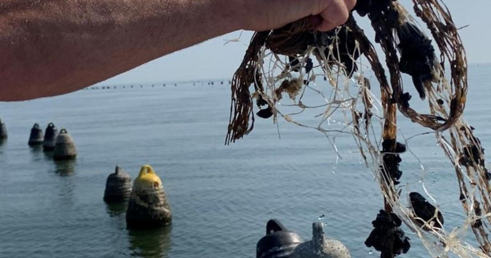 Rifiuti in mare, parte il progetto