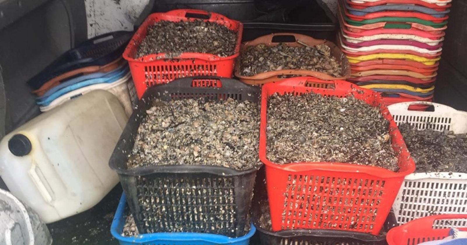 “Pesca di frodo in laguna, bene che la Regione sia parte civile"