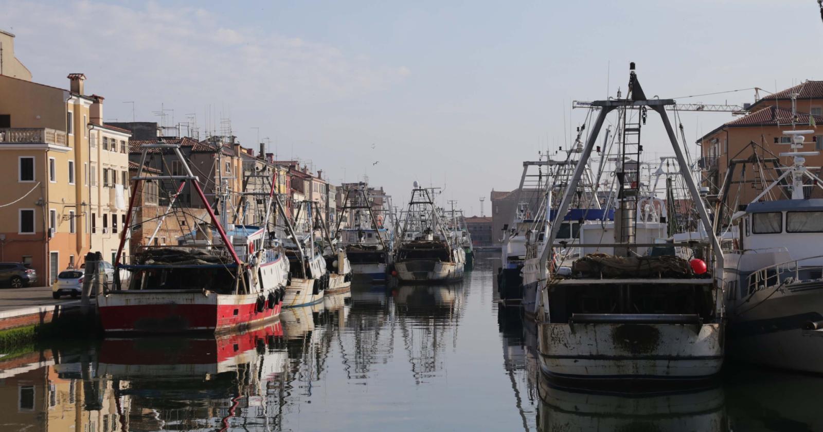 Il distretto Nord Adriatico scrive al ministero: "Misure urgenti"