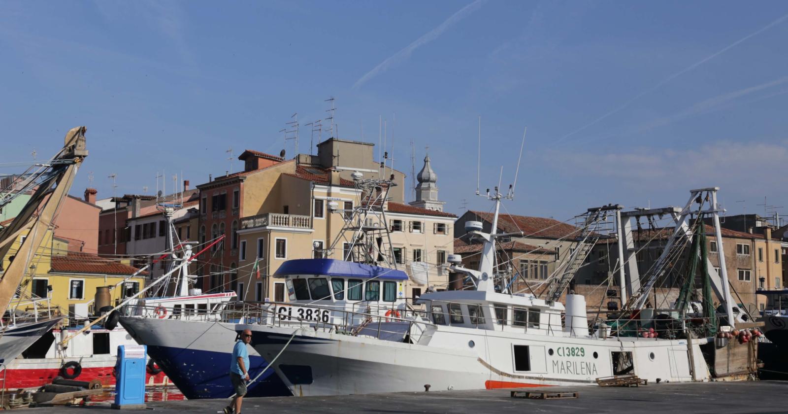 I pescherecci tornano in mare... e il pesce nostrano in tavola