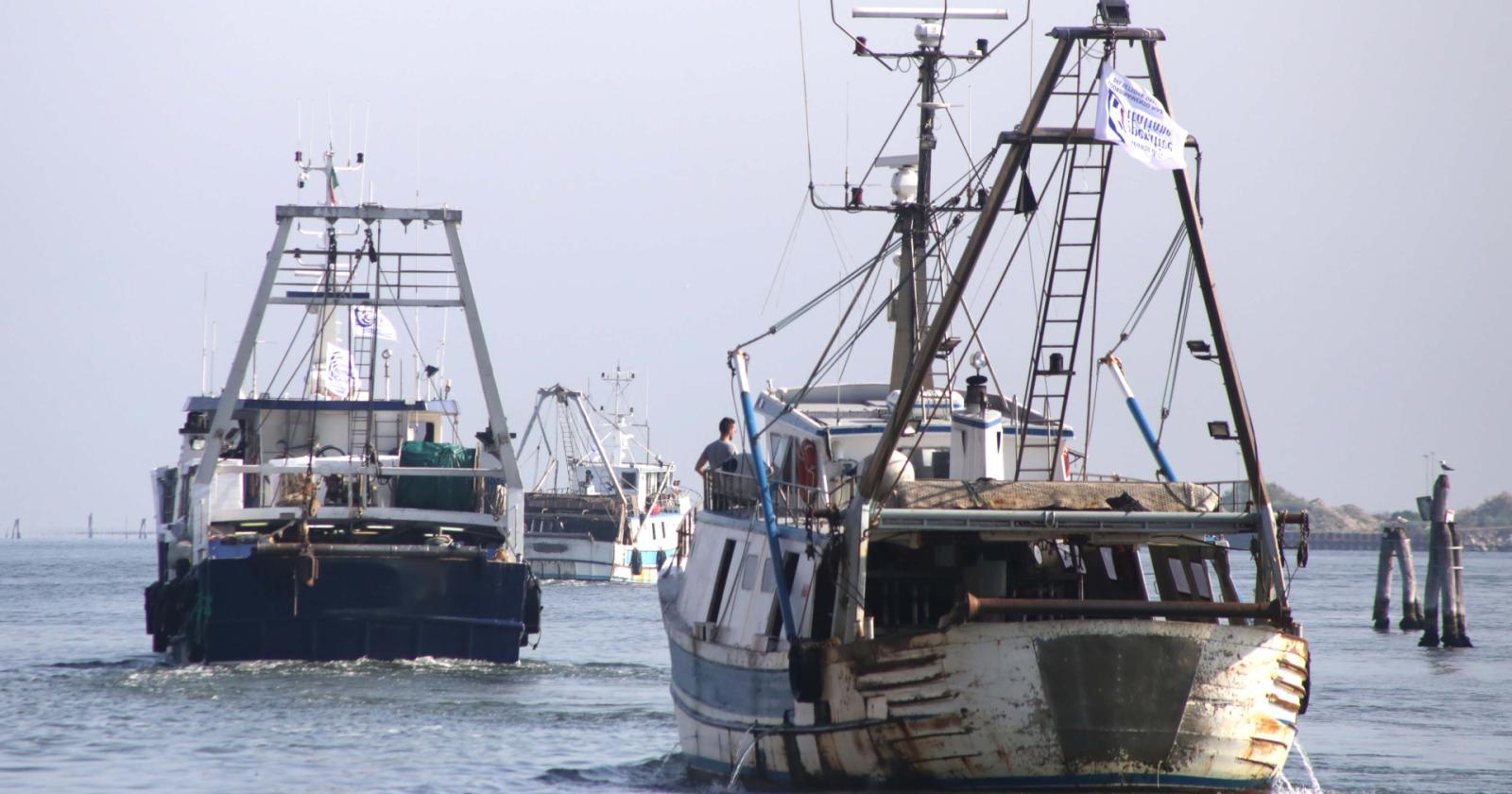 Distretto ittico, vola l’export