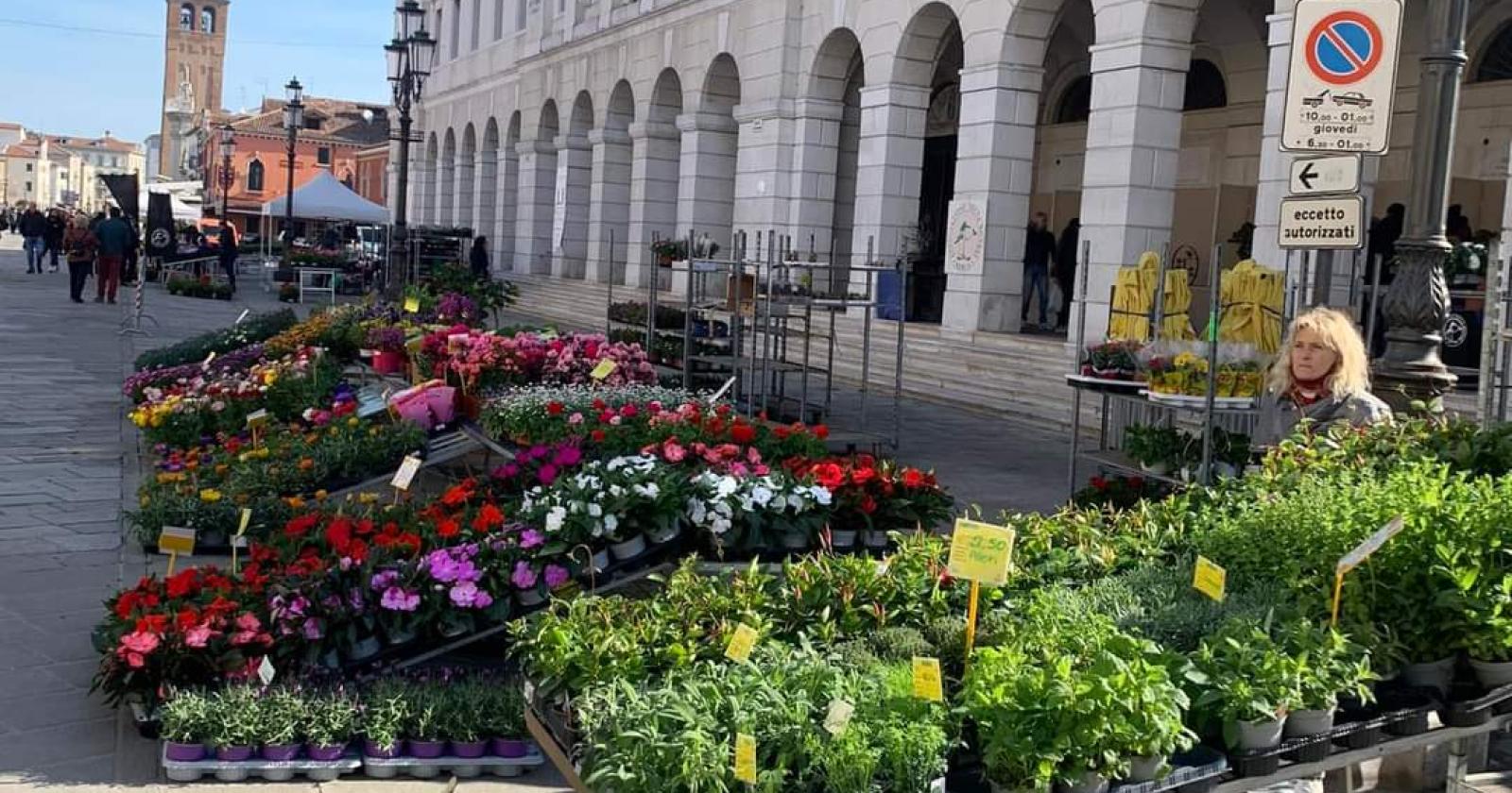 La città si colora di primavera