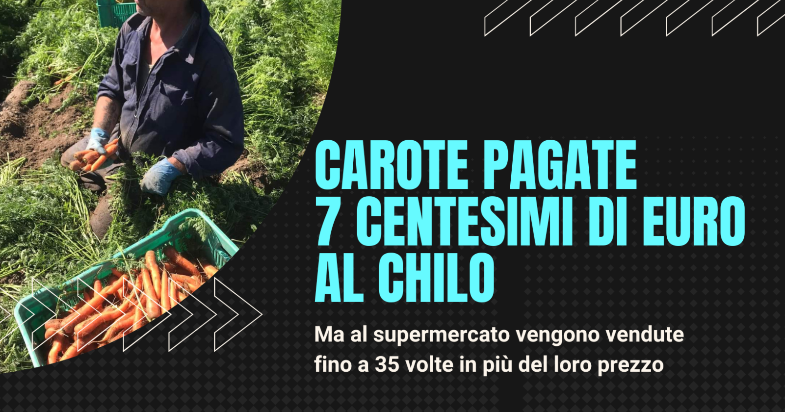 La tragedia delle carote