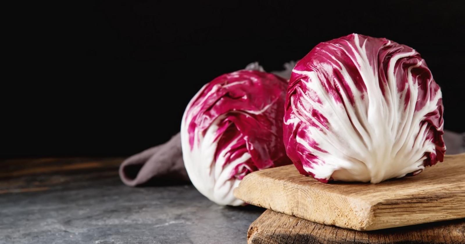 Radicchio, bene il raccolto, meno i guadagni
