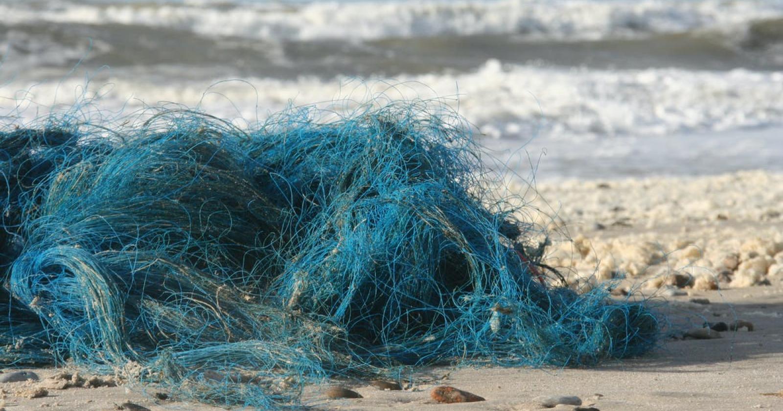 Polaris smaltirà anche i rifiuti della pesca di Chioggia