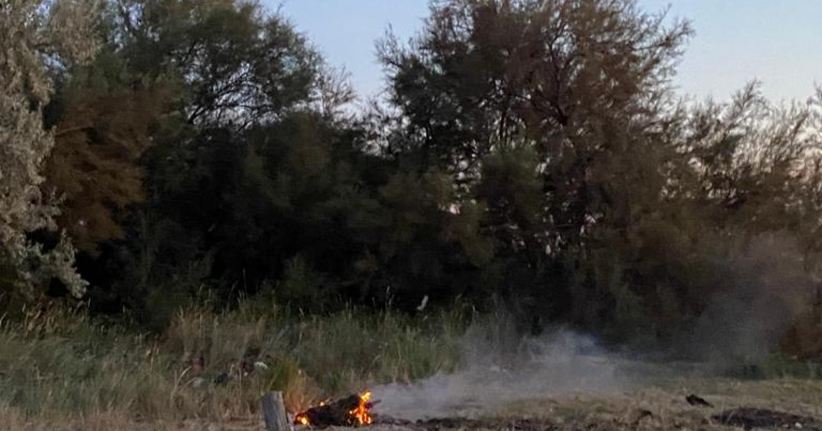Rogo sulla spiaggia, due diportisti lo spengono