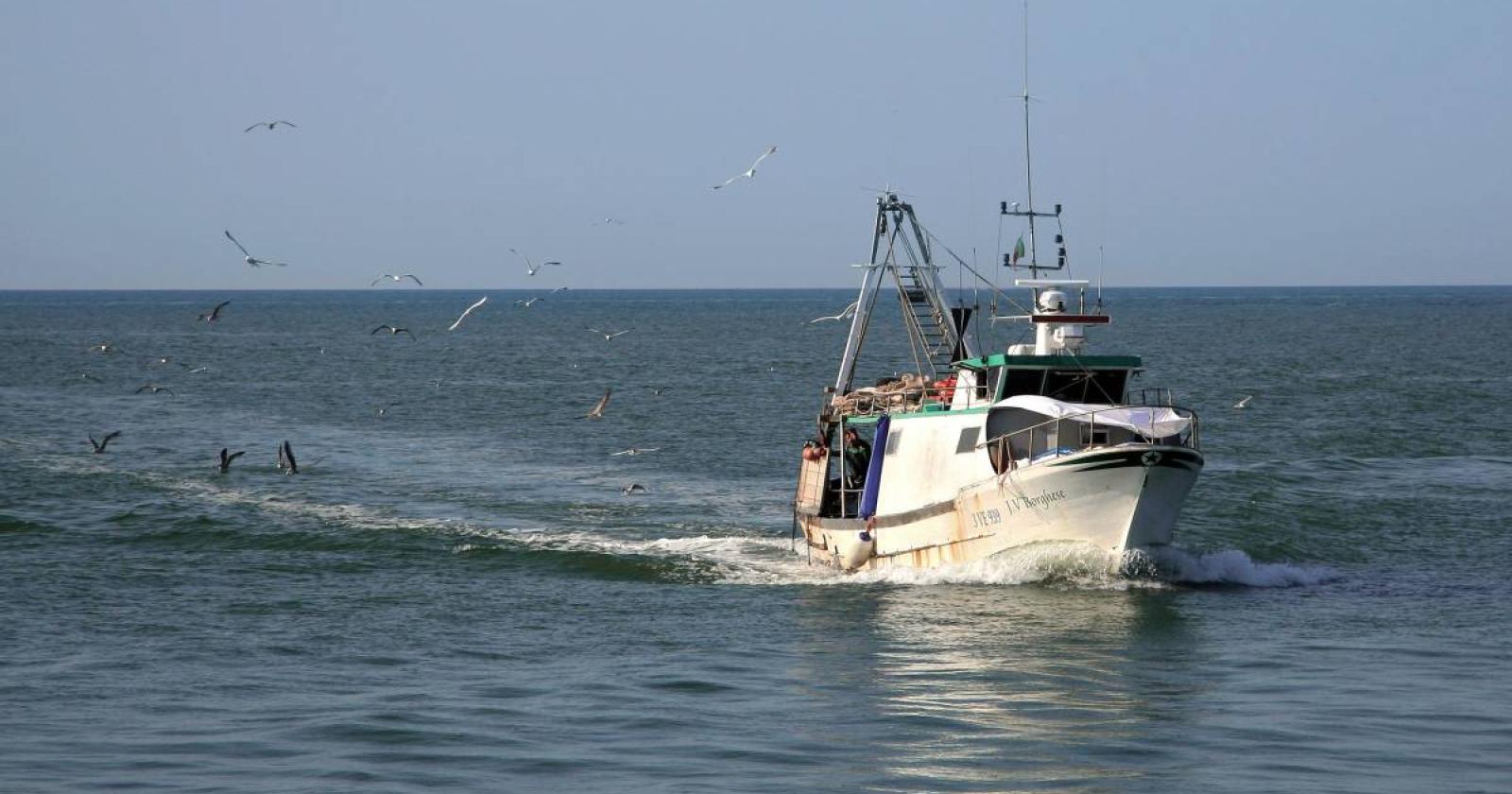 Caro gasolio, via libera al credito d'imposta per i pescatori