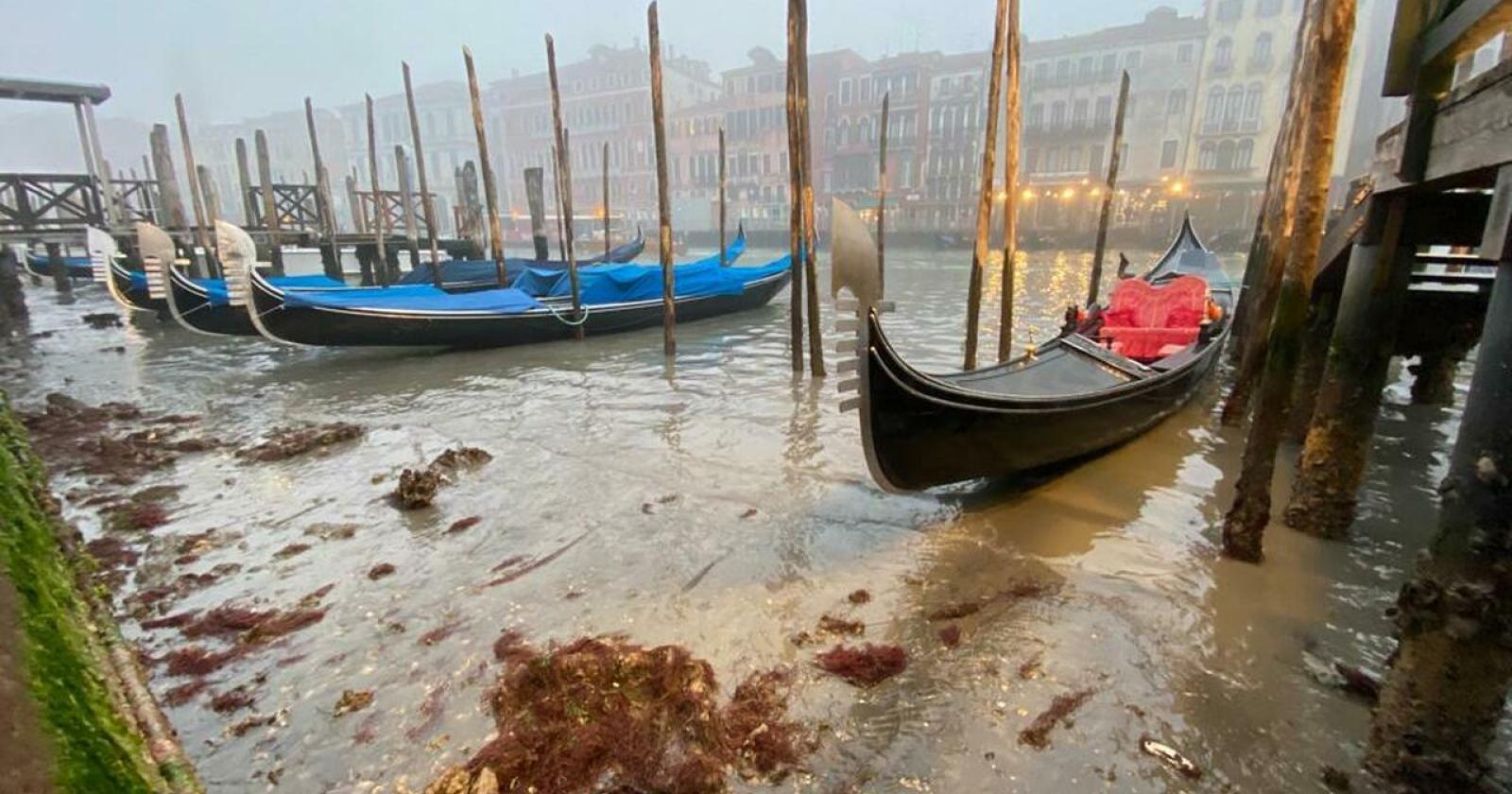 Eccezionale bassa marea, gondole in secca