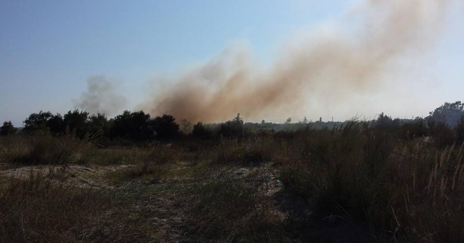 A fuoco una vasta area in mezzo ai campi