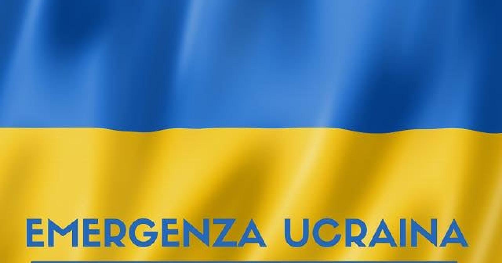 La città metropolitana attiva l'accoglienza