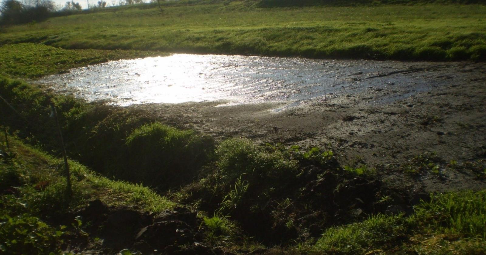 Argine sinistro dell'Adige, Tiozzo chiede di posticipare i lavori