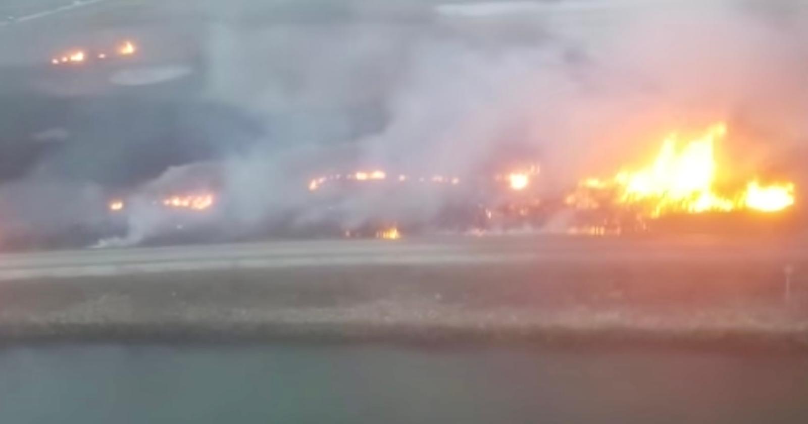 Videotrappole contro i piromani