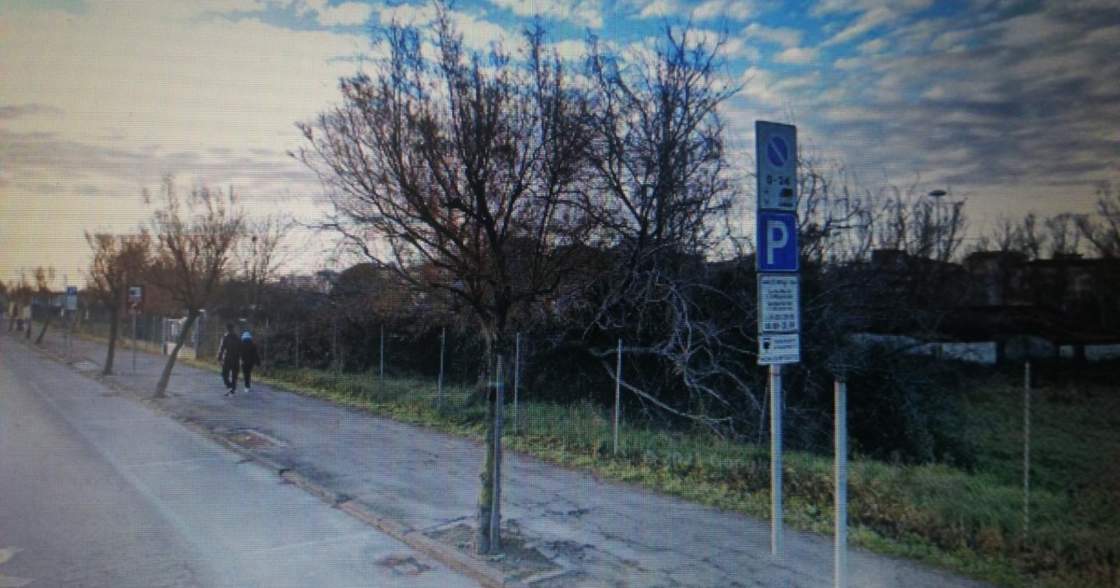 Prognosi riservata per l'operaio colpito dall'albero