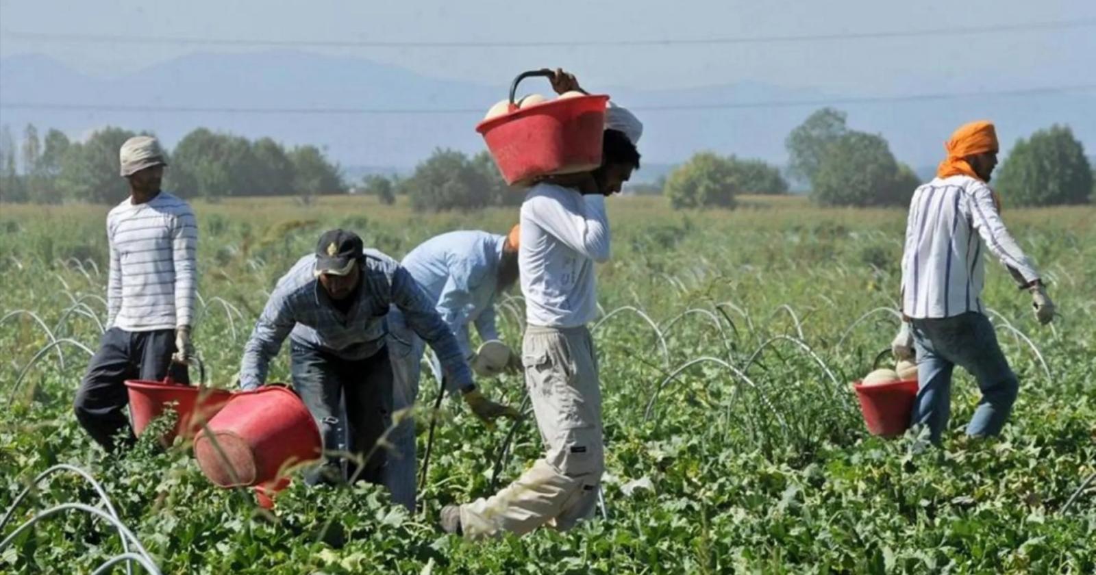 Caporalato, due arresti: ridotti in schiavitù alcuni pakistani