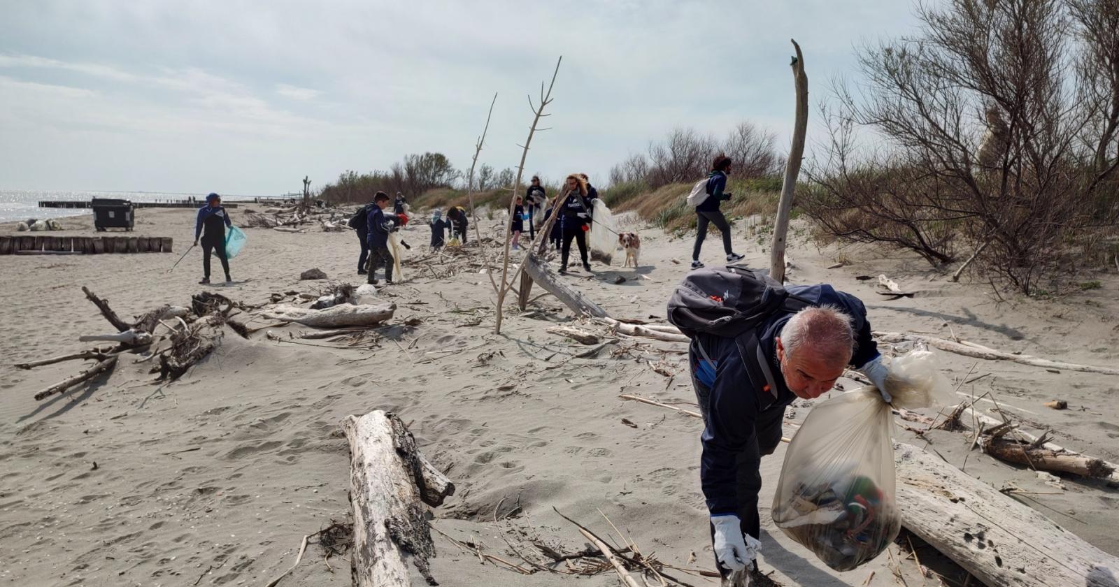 Trovato morto sulla spiaggia un delfino con la coda intrappolata