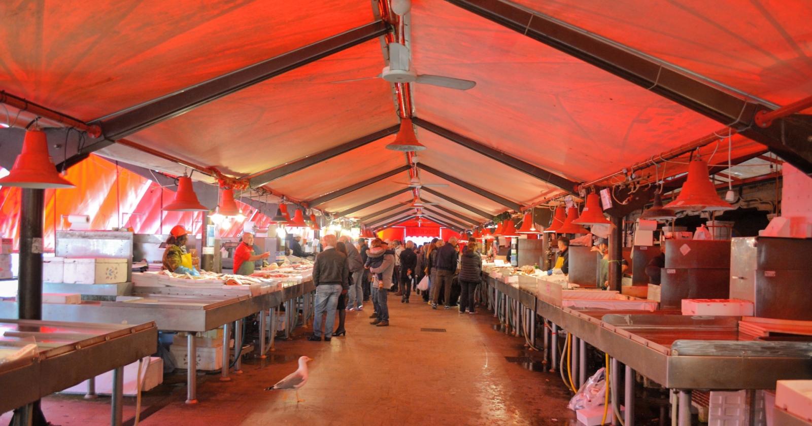 Pescheria al minuto, un telo per la luce