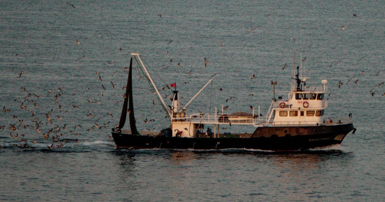 Pesca come patrimonio dell'Unesco