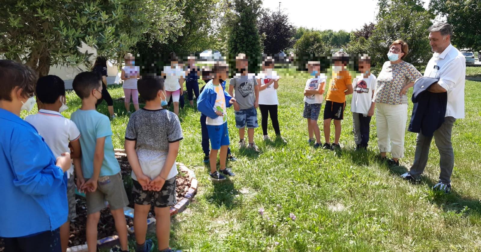 Le api salvate dai bimbi della primaria