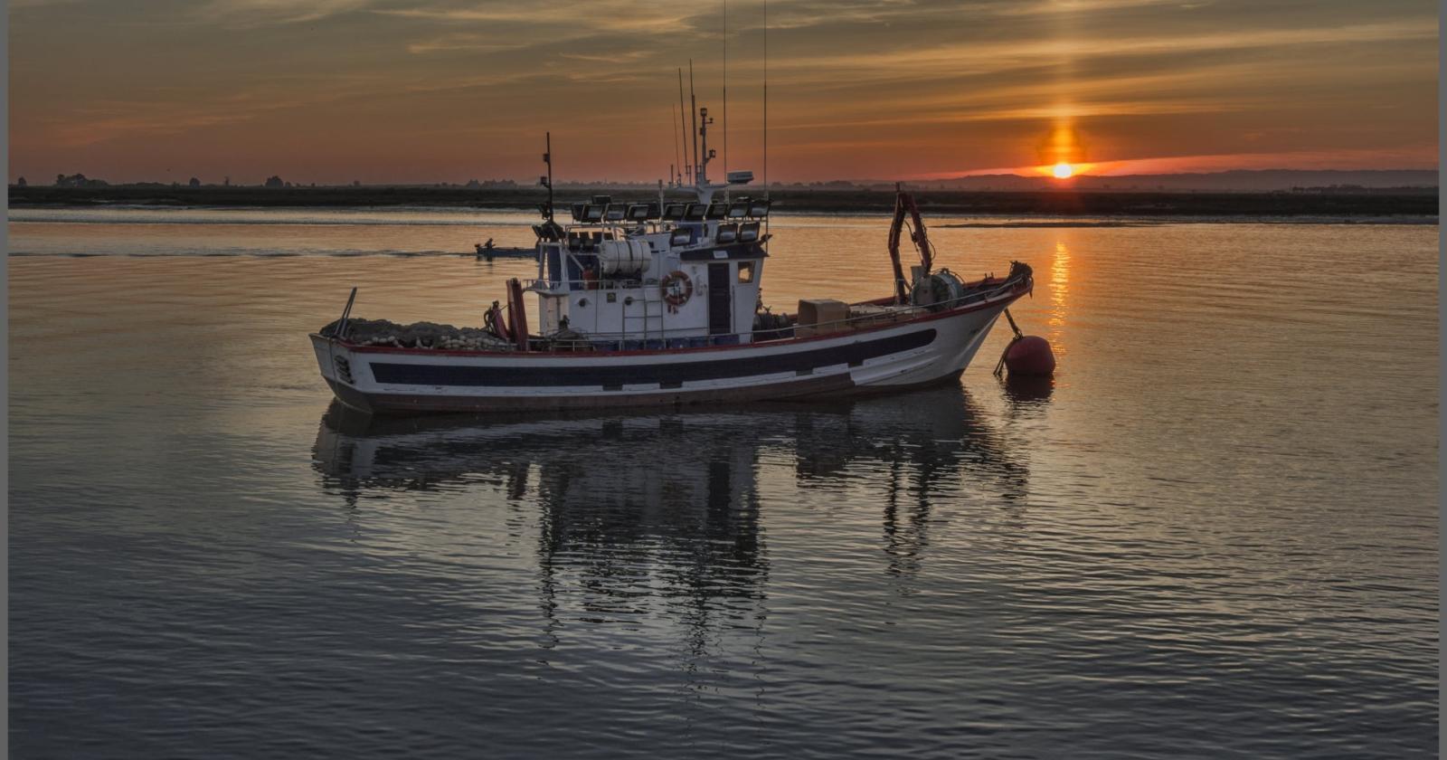 Pesca, associazioni e sindacati chiedono risultati al governo
