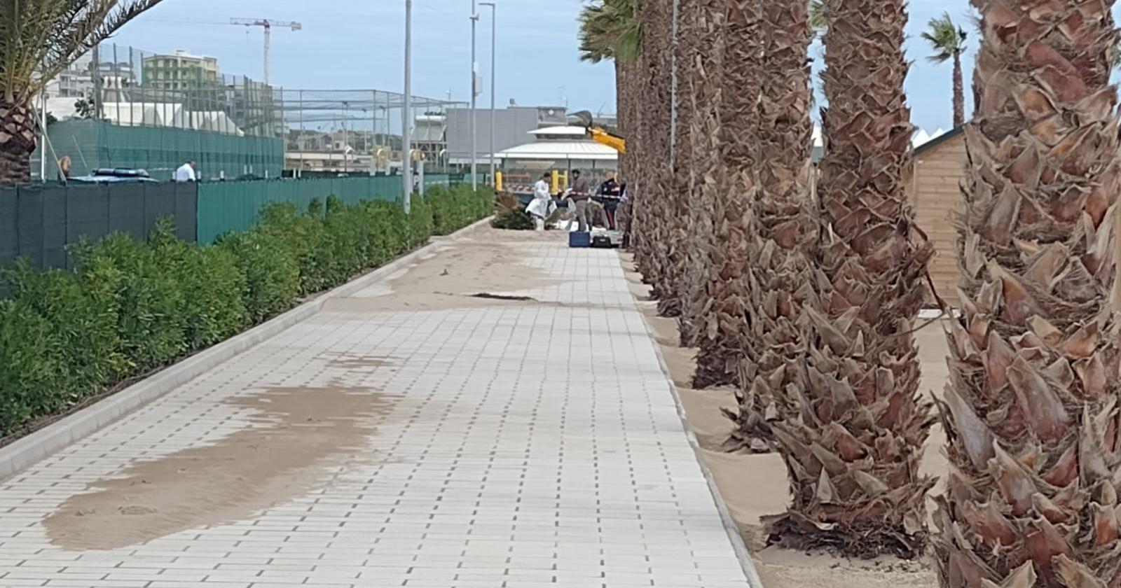 Si indaga sulla salute della palma caduta