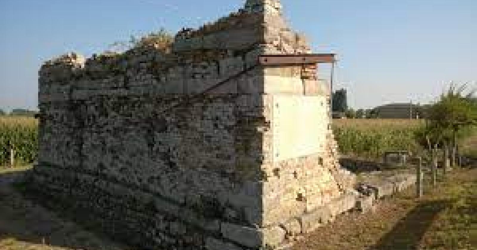 "Salvate la Torre di Bebbe", appello di Amico Giardiniere
