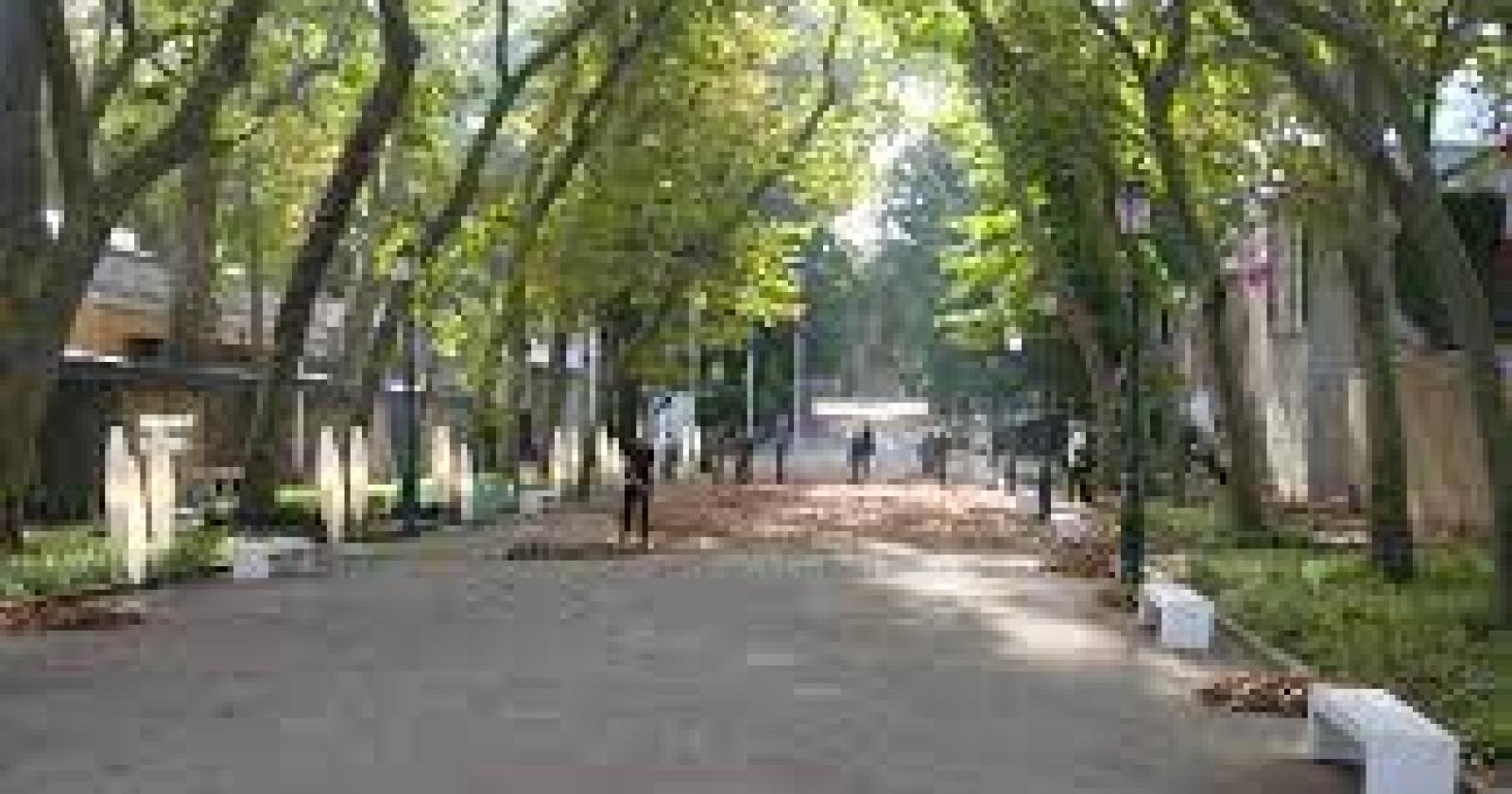 Orrore: persona trovata morta ai Giardini della Biennale