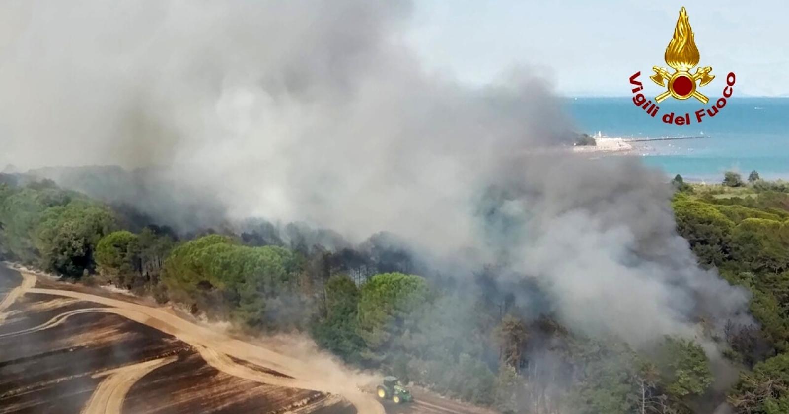 Devastante incendio in pineta a Bibione