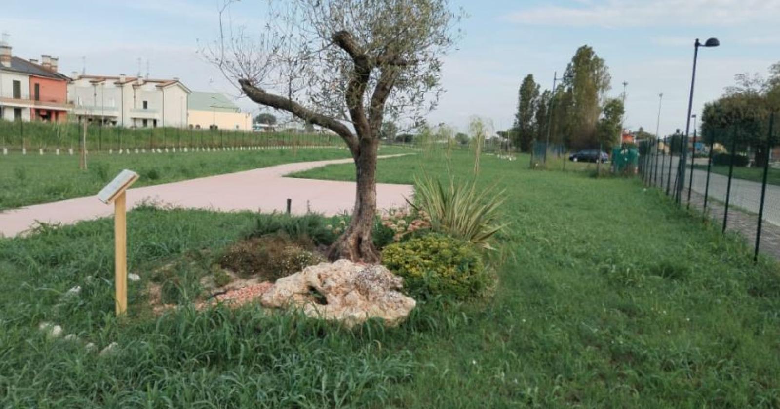 Parco di Valli, si intravede la luce
