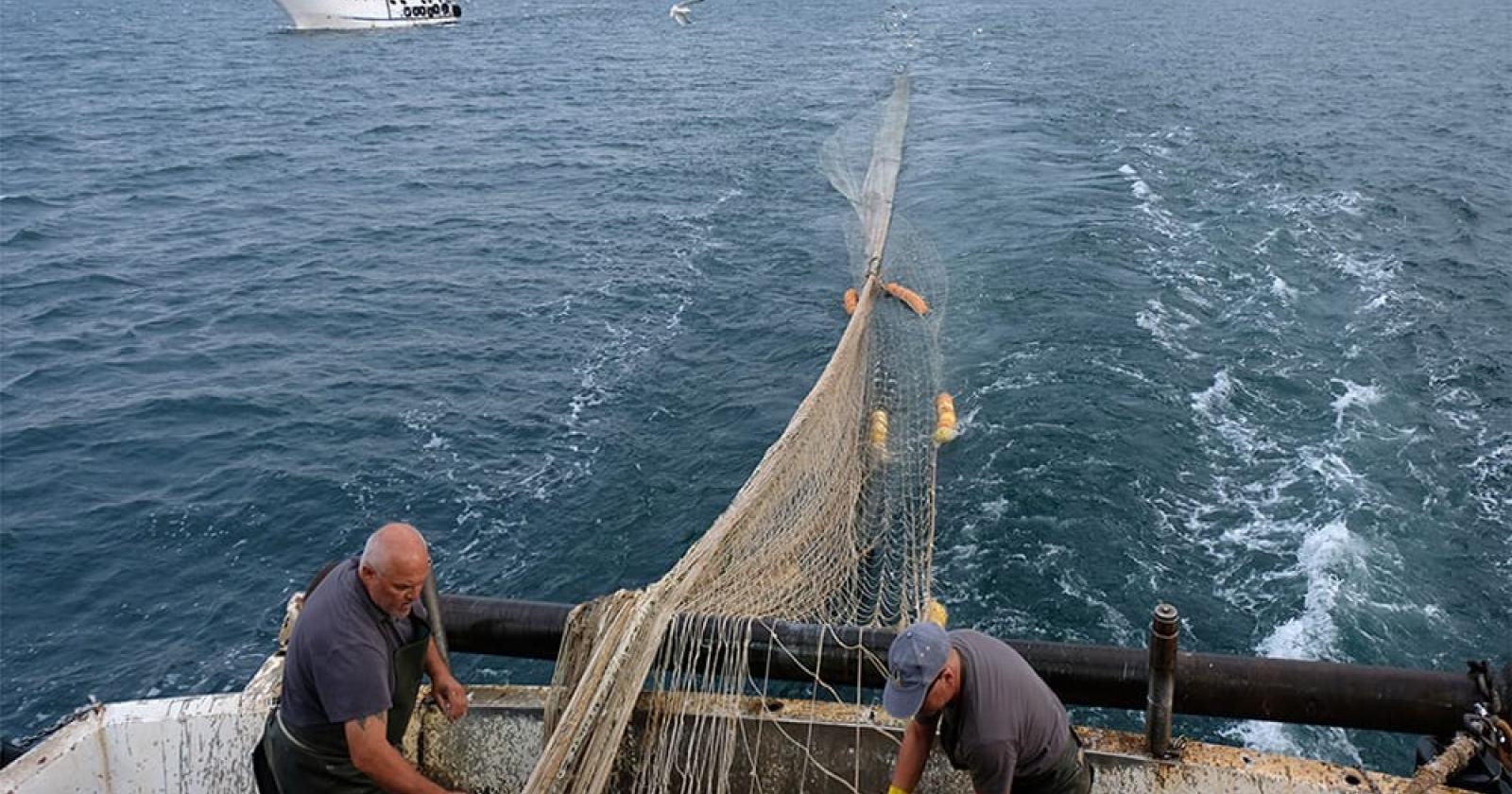 Gli scatti della Chioggia che pesca
