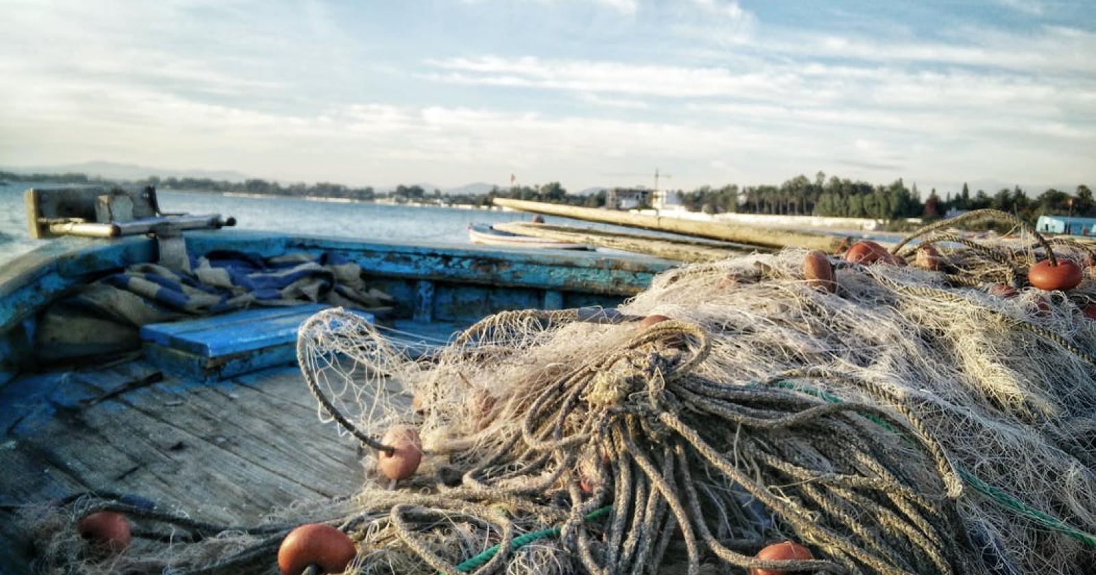 Mare liberato da 100 chili di reti