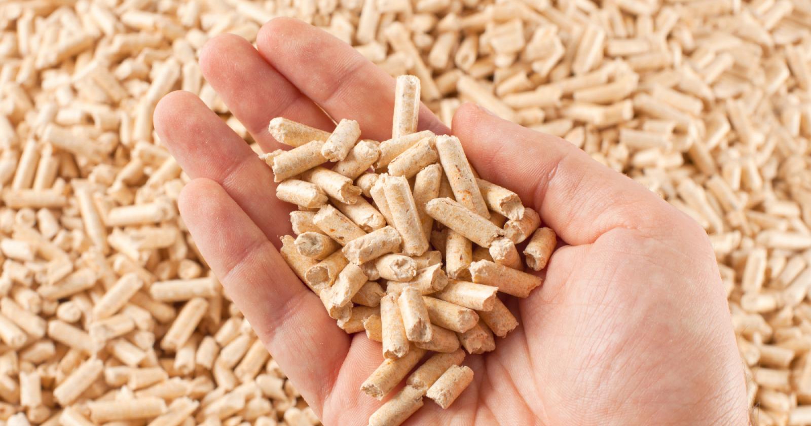 Compravendita pellet, frode da 34 milioni di euro