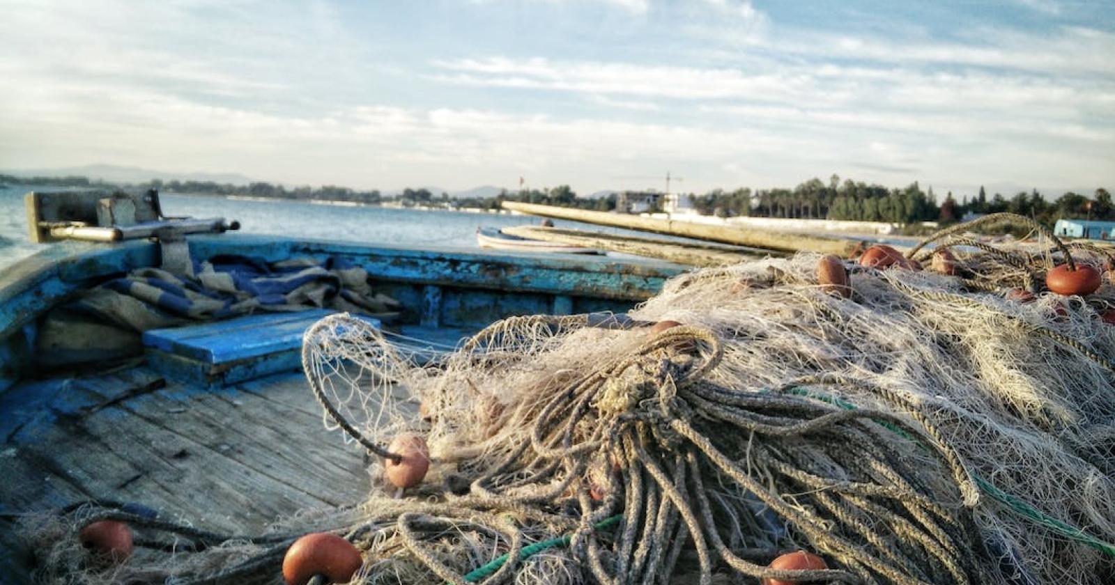 Alleanza Cooperative Pesca chiede un ministero del Mare