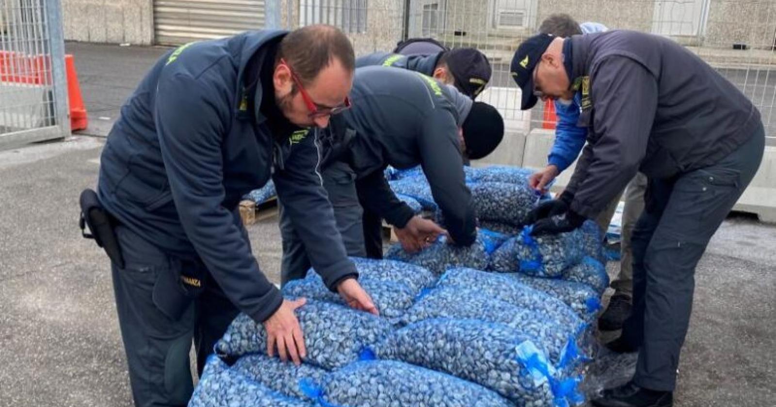Fiamme gialle, sequestrate tre tonnellate di vongole