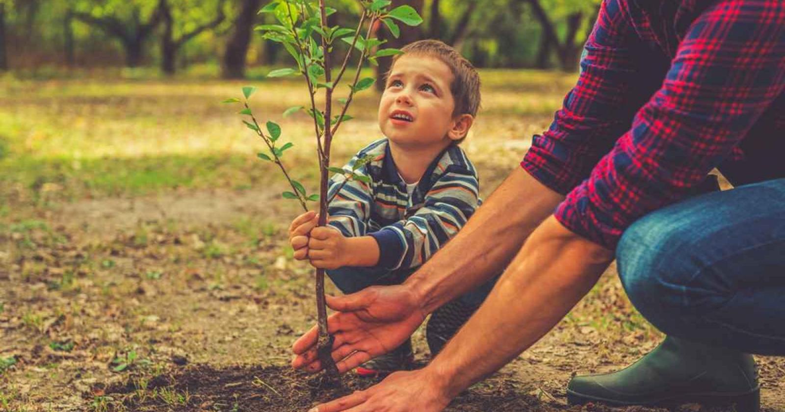 Giornata nazionale degli alberi tra ricordo e speranze
